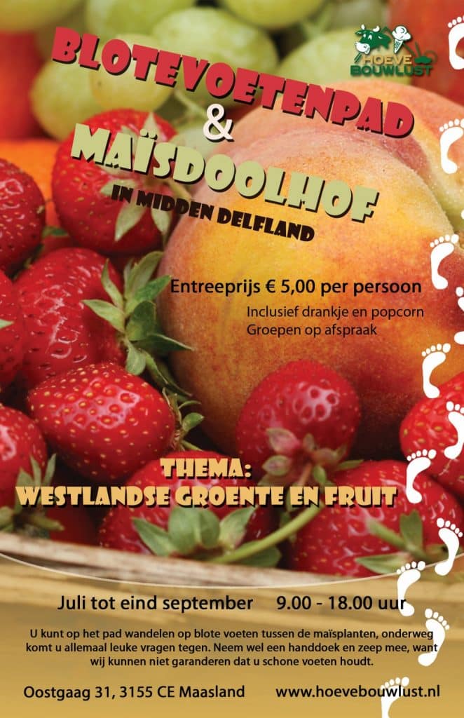 Blotevoetenpad 2015 -Flyer WEB-